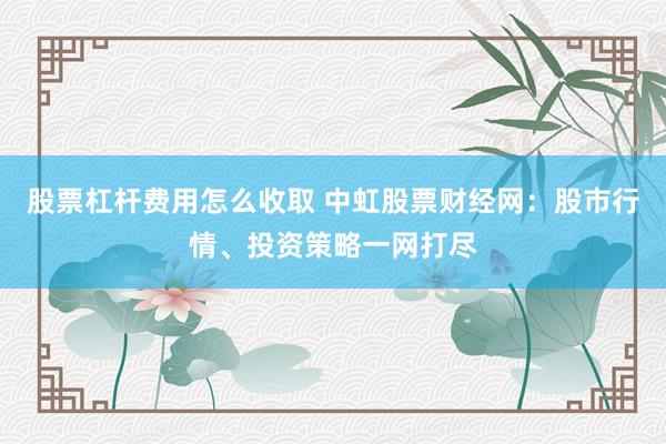 股票杠杆费用怎么收取 中虹股票财经网：股市行情、投资策略一网打尽