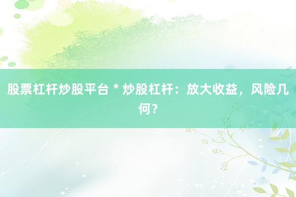 股票杠杆炒股平台 * 炒股杠杆：放大收益，风险几何？