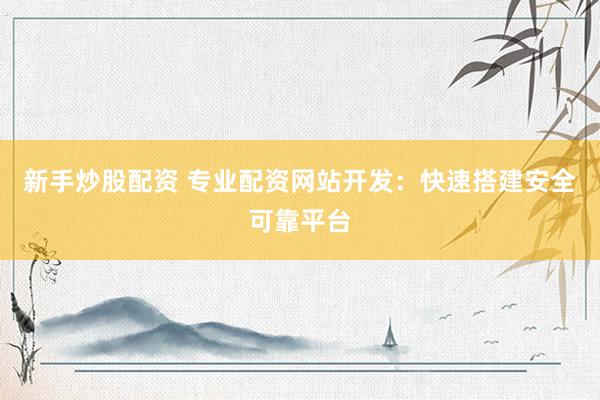新手炒股配资 专业配资网站开发：快速搭建安全可靠平台