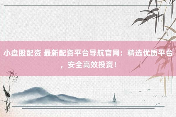 小盘股配资 最新配资平台导航官网：精选优质平台，安全高效投资！
