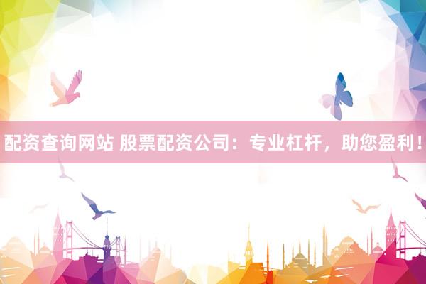 配资查询网站 股票配资公司：专业杠杆，助您盈利！
