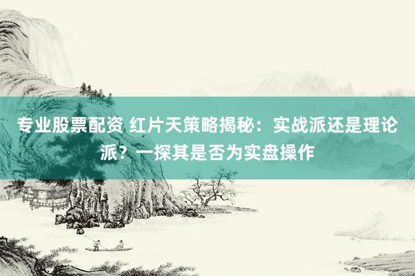 专业股票配资 红片天策略揭秘：实战派还是理论派？一探其是否为实盘操作