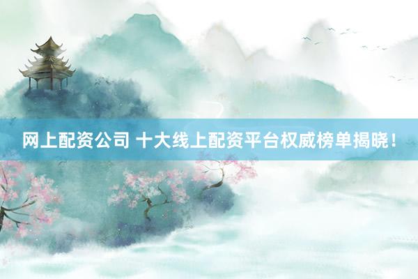 网上配资公司 十大线上配资平台权威榜单揭晓！