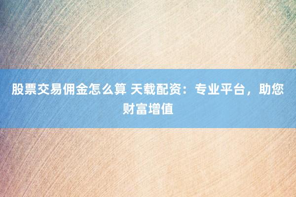 股票交易佣金怎么算 天载配资：专业平台，助您财富增值