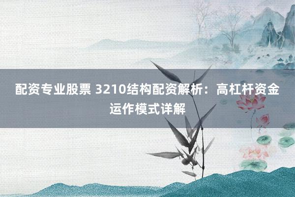 配资专业股票 3210结构配资解析：高杠杆资金运作模式详解