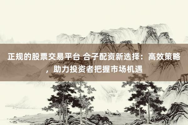 正规的股票交易平台 合子配资新选择：高效策略，助力投资者把握市场机遇