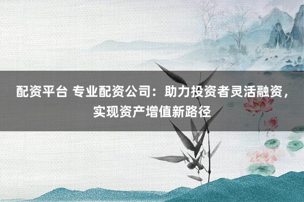 配资平台 专业配资公司：助力投资者灵活融资，实现资产增值新路径