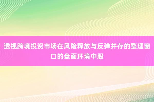 透视跨境投资市场在风险释放与反弹并存的整理窗口的盘面环境中股