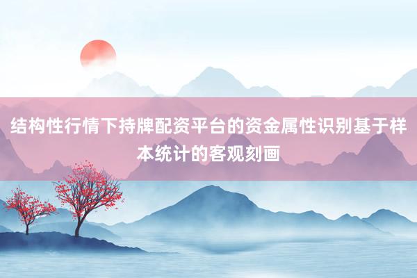 结构性行情下持牌配资平台的资金属性识别基于样本统计的客观刻画