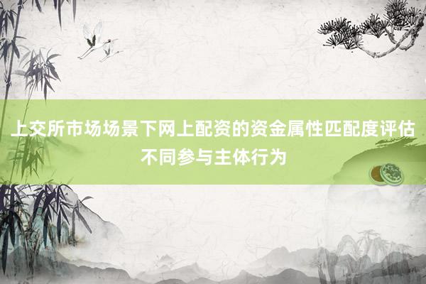 上交所市场场景下网上配资的资金属性匹配度评估不同参与主体行为