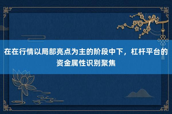 在在行情以局部亮点为主的阶段中下，杠杆平台的资金属性识别聚焦